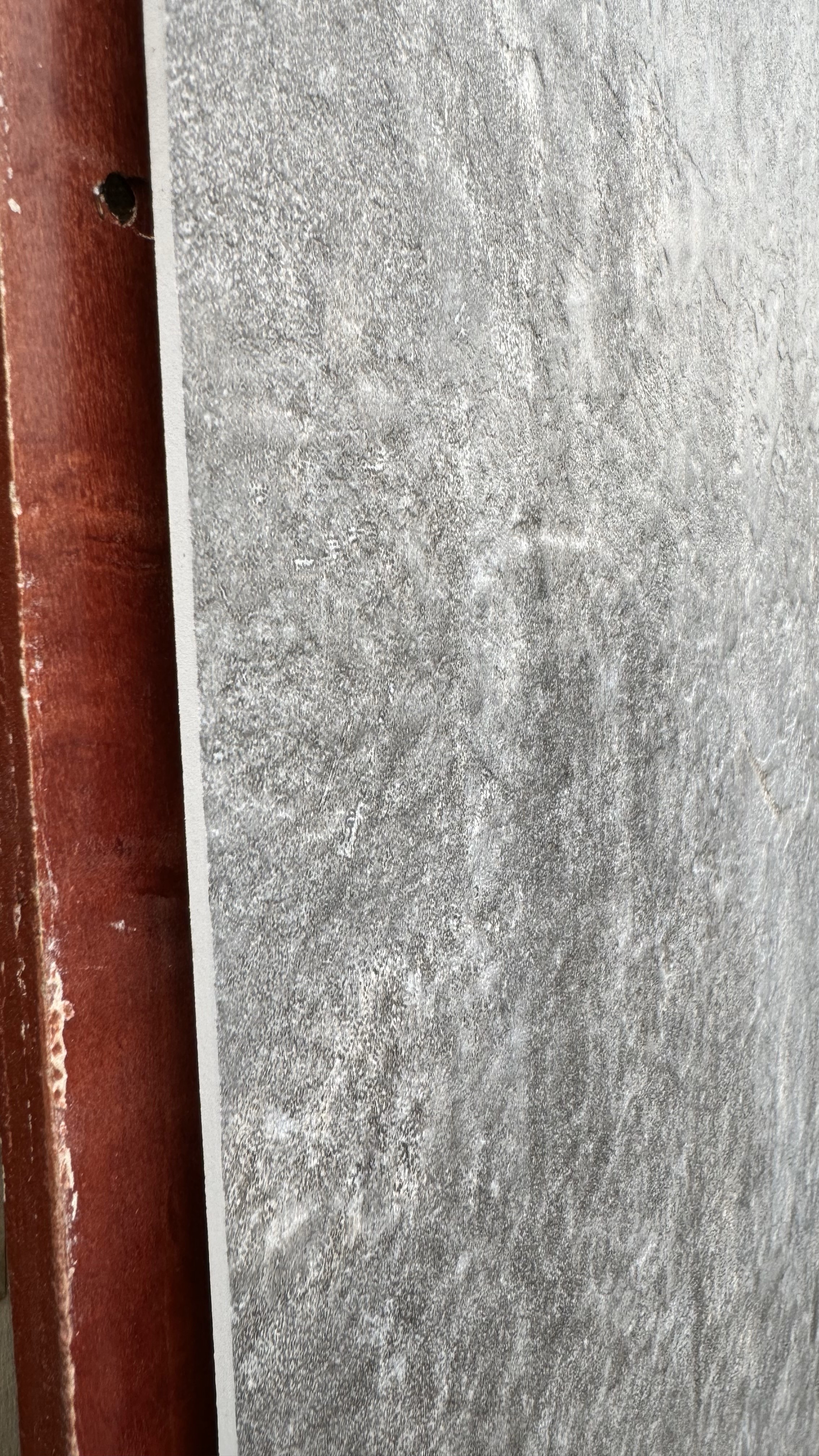 Wandpaneel/Wandfliese Dekoline Light Beton